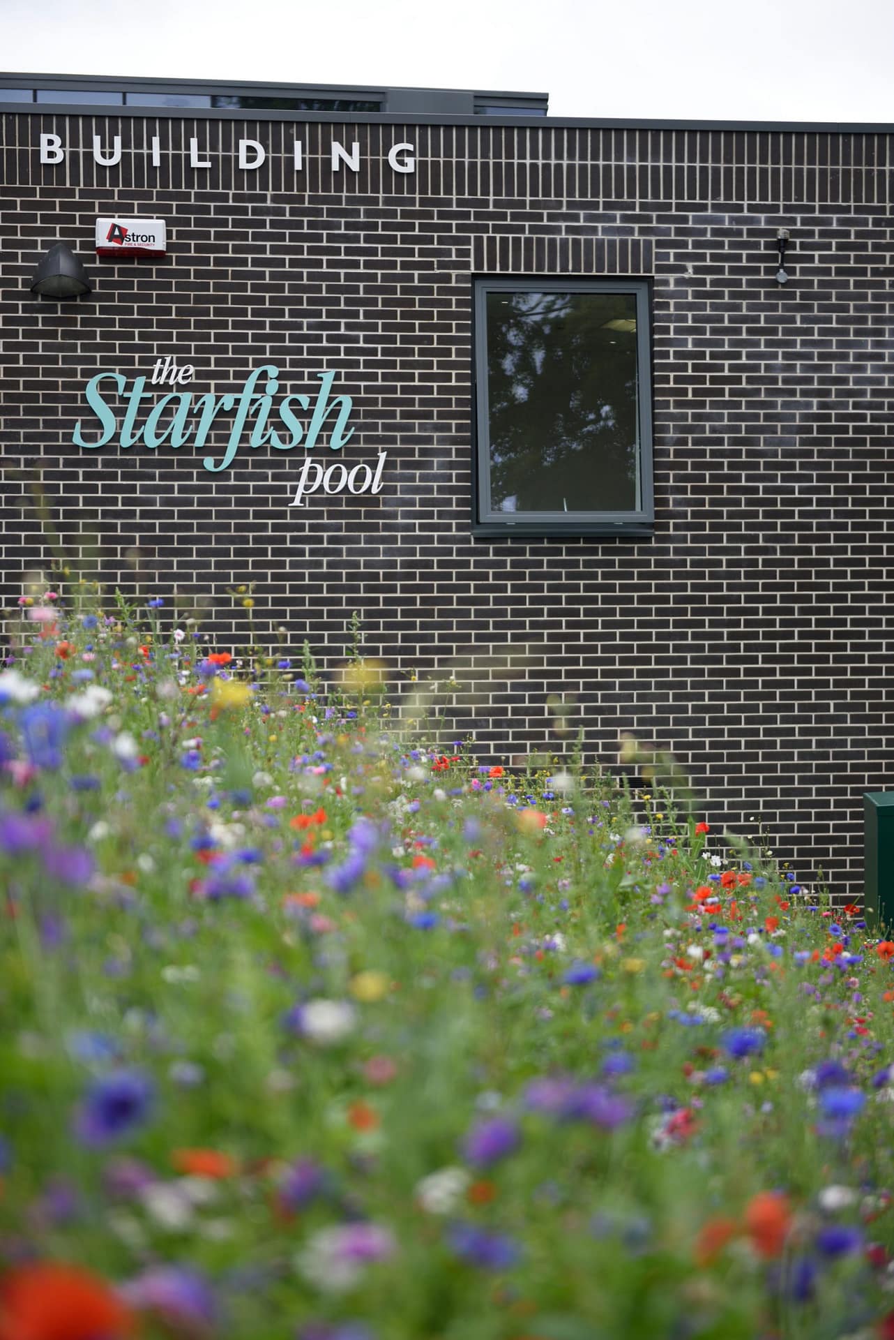 The Starfish Pool, John James Building, Claremont School, Bristol