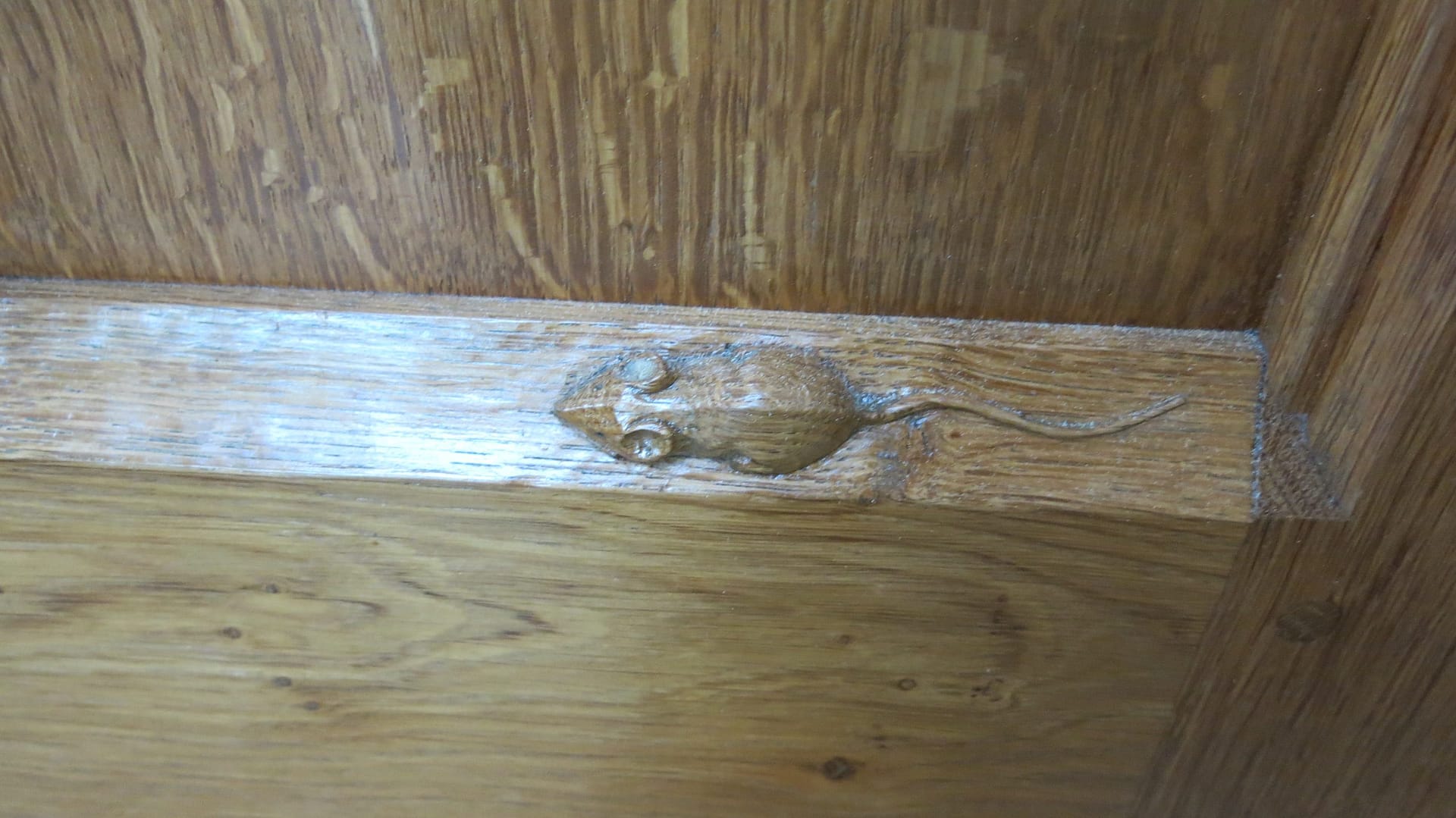 Mouse on door in rear house extension in Llandaf, Cardiff